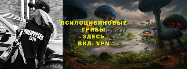 метадон Арсеньев