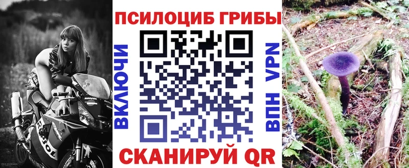 Галлюциногенные грибы Cubensis даркнет как зайти Соль-Илецк
